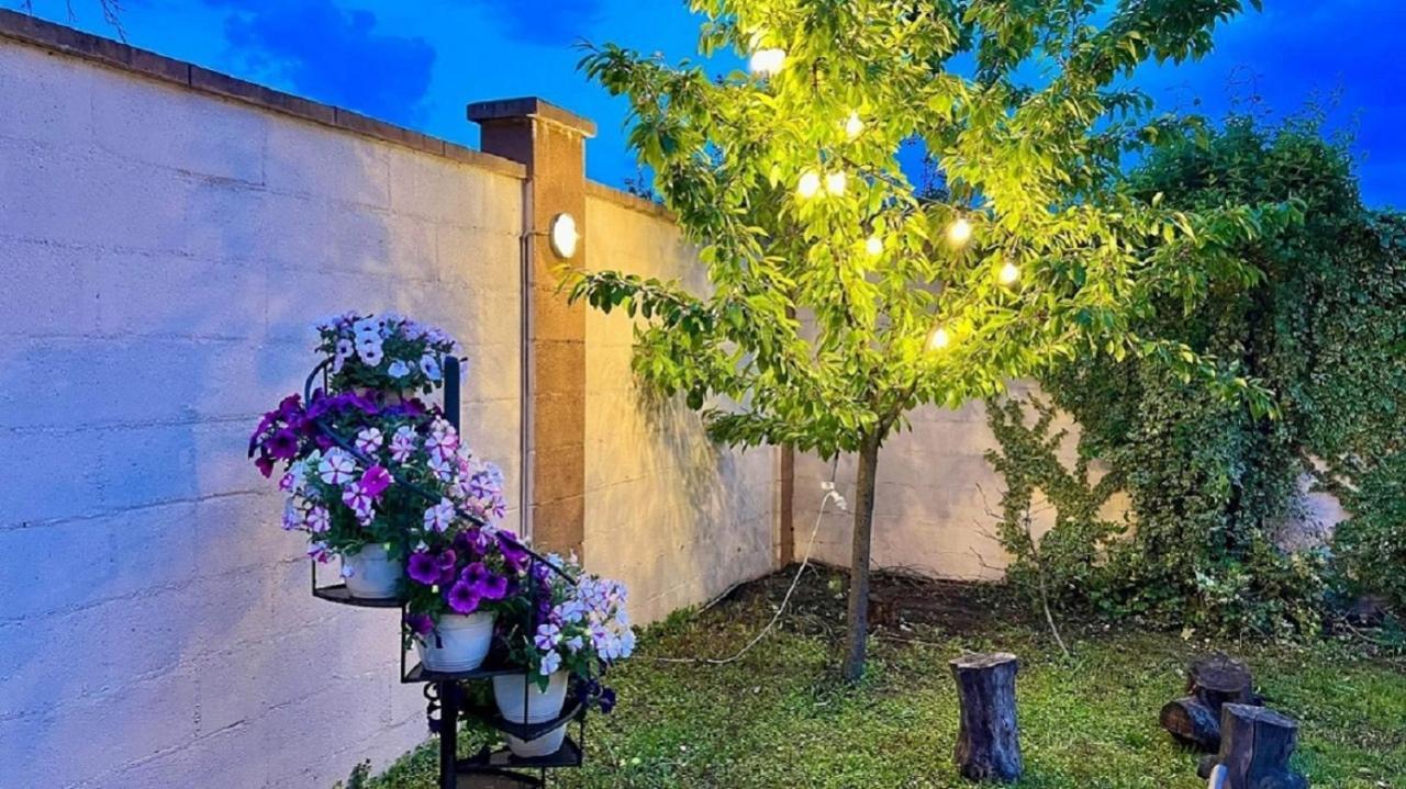 Oxford Inns&suites